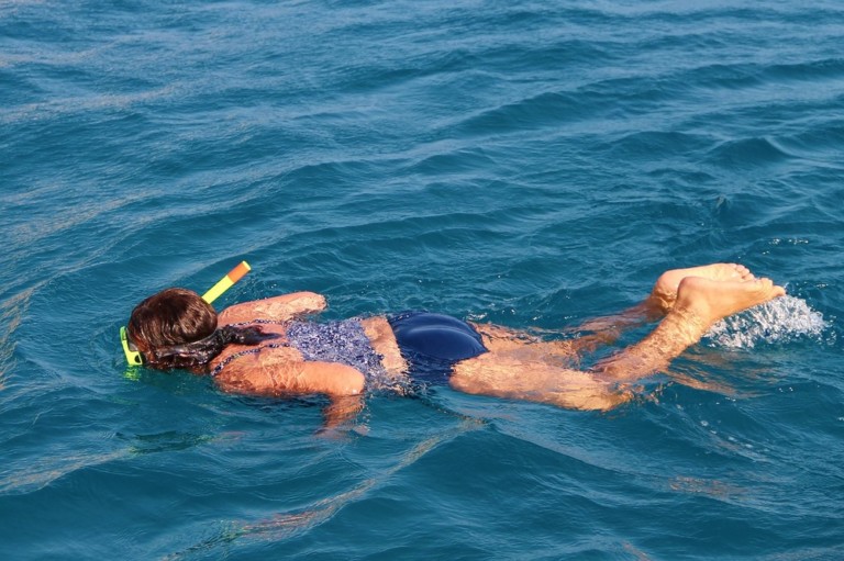 Snorkel con tortugas en tenerife